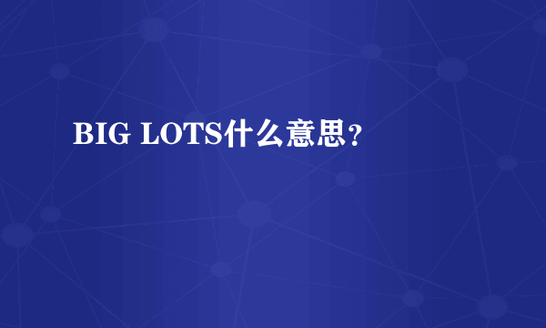 BIG LOTS什么意思？