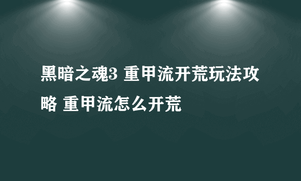 黑暗之魂3 重甲流开荒玩法攻略 重甲流怎么开荒