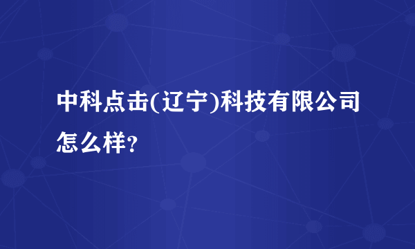 中科点击(辽宁)科技有限公司怎么样？