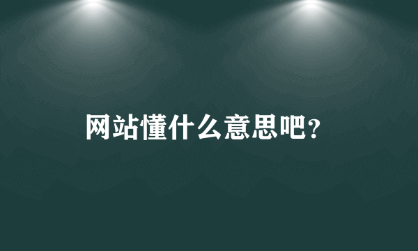 网站懂什么意思吧？