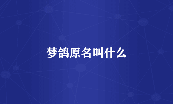 梦鸽原名叫什么