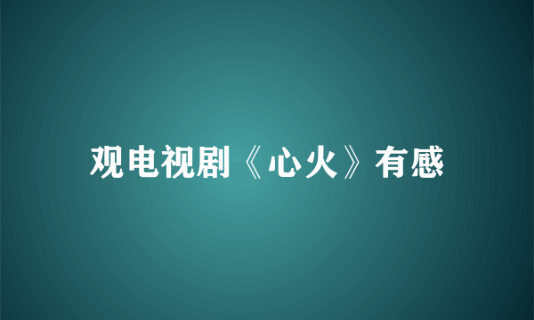 观电视剧《心火》有感