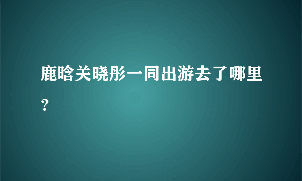 鹿晗关晓彤一同出游去了哪里？