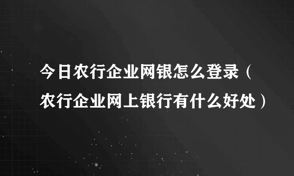 今日农行企业网银怎么登录（农行企业网上银行有什么好处）