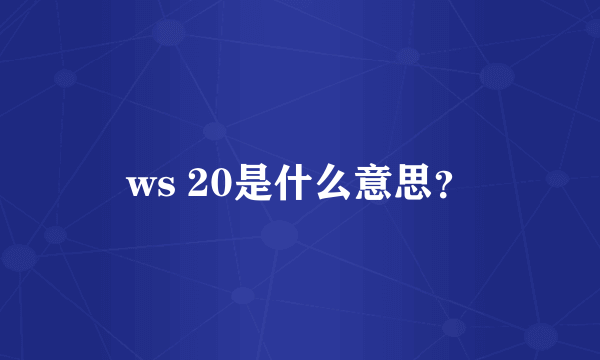 ws 20是什么意思？