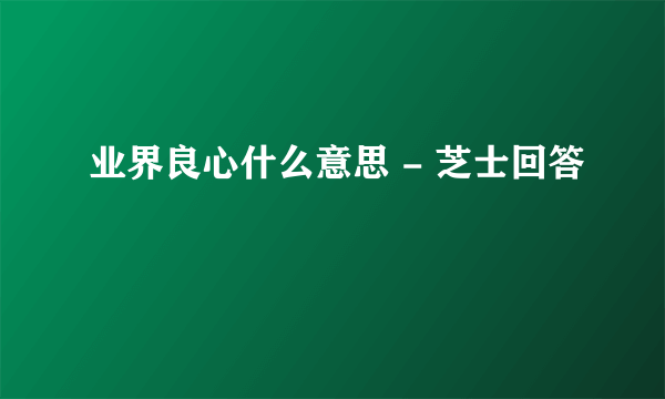 业界良心什么意思 - 芝士回答