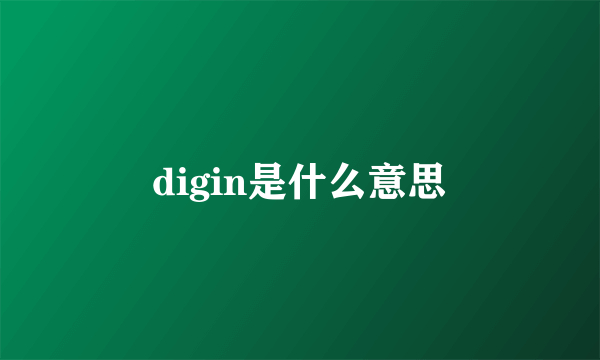 digin是什么意思