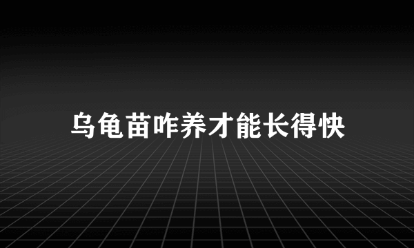 乌龟苗咋养才能长得快