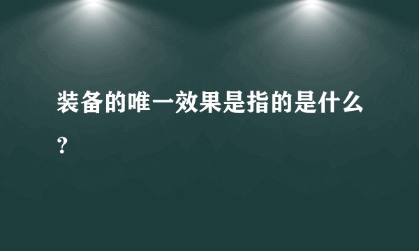 装备的唯一效果是指的是什么？
