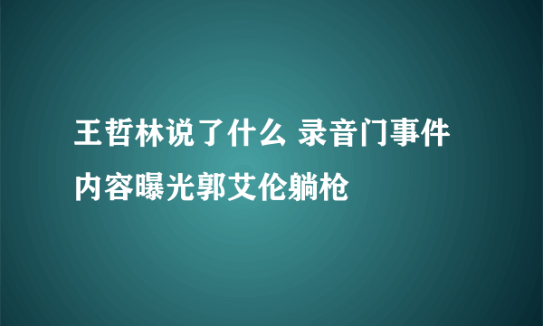 王哲林说了什么 录音门事件内容曝光郭艾伦躺枪