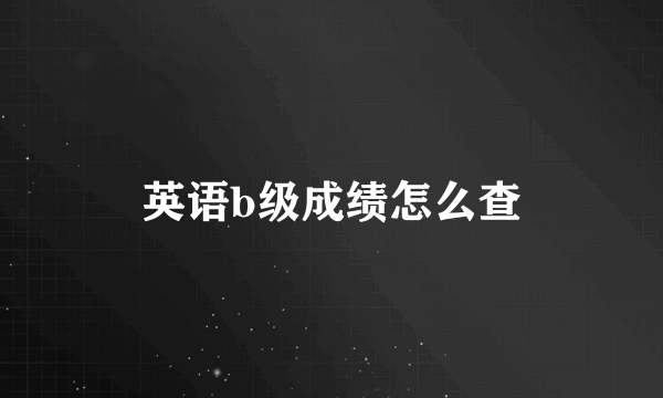 英语b级成绩怎么查