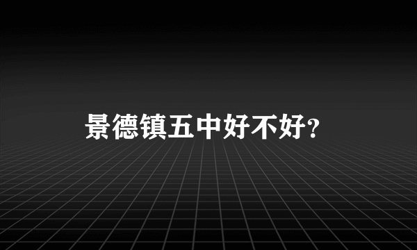 景德镇五中好不好？