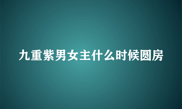 九重紫男女主什么时候圆房