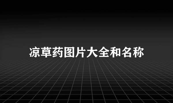 凉草药图片大全和名称