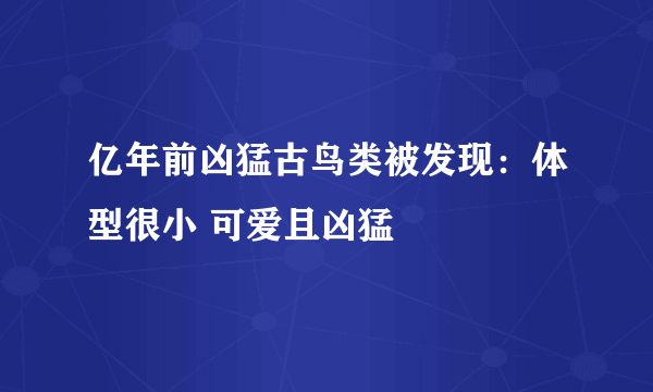 亿年前凶猛古鸟类被发现：体型很小 可爱且凶猛