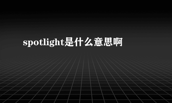 spotlight是什么意思啊