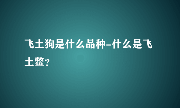 飞土狗是什么品种-什么是飞土鳖？