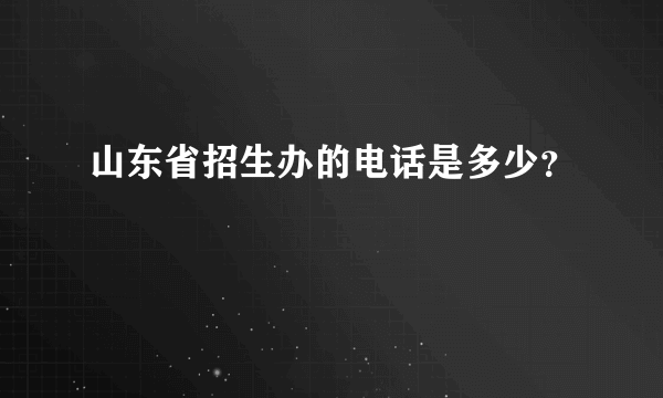 山东省招生办的电话是多少？