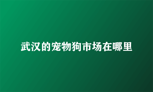 武汉的宠物狗市场在哪里