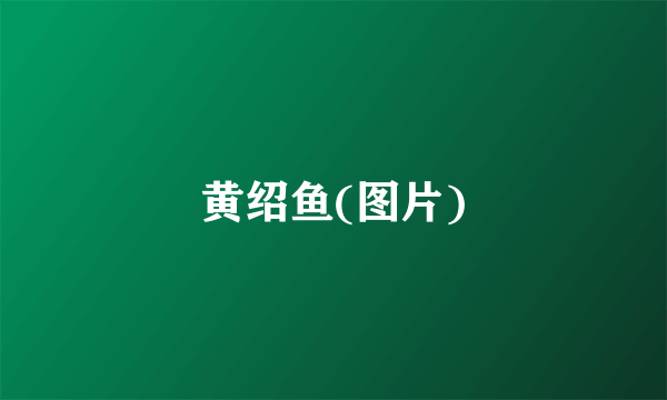 黄绍鱼(图片)