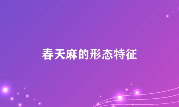 春天麻的形态特征