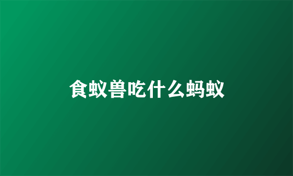 食蚁兽吃什么蚂蚁