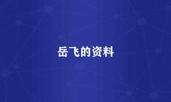 岳飞的资料