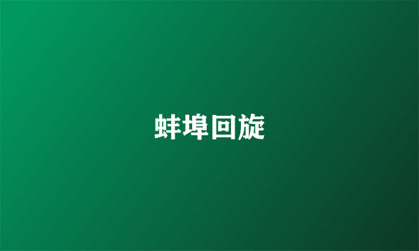 蚌埠回旋