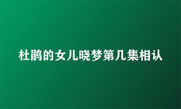 杜鹃的女儿晓梦第几集相认