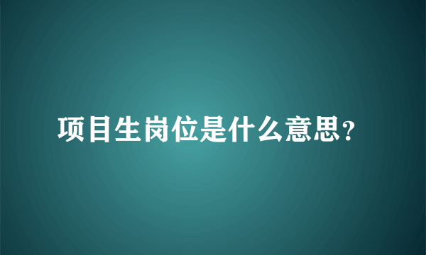 项目生岗位是什么意思？