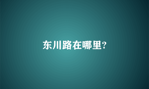 东川路在哪里?