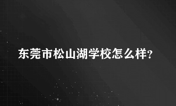 东莞市松山湖学校怎么样？