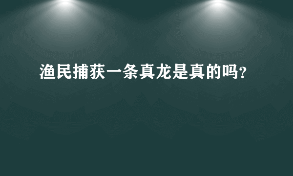 渔民捕获一条真龙是真的吗？