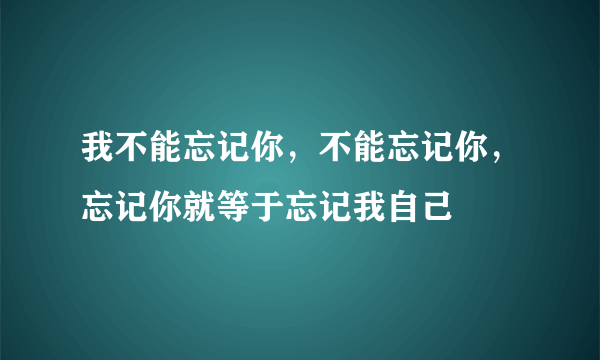 我不能忘记你，不能忘记你，忘记你就等于忘记我自己