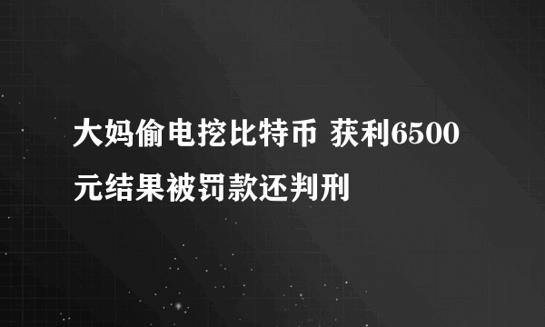 大妈偷电挖比特币 获利6500元结果被罚款还判刑