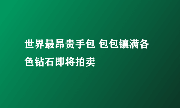 世界最昂贵手包 包包镶满各色钻石即将拍卖