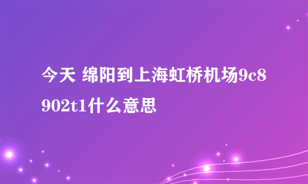 今天 绵阳到上海虹桥机场9c8902t1什么意思