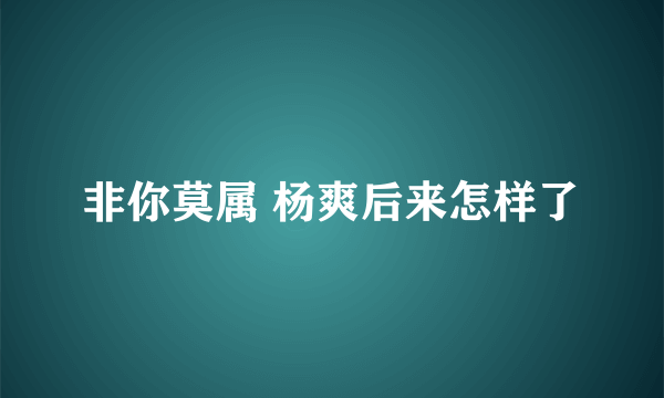非你莫属 杨爽后来怎样了