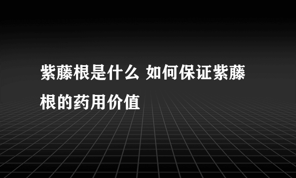 紫藤根是什么 如何保证紫藤根的药用价值