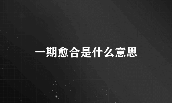 一期愈合是什么意思