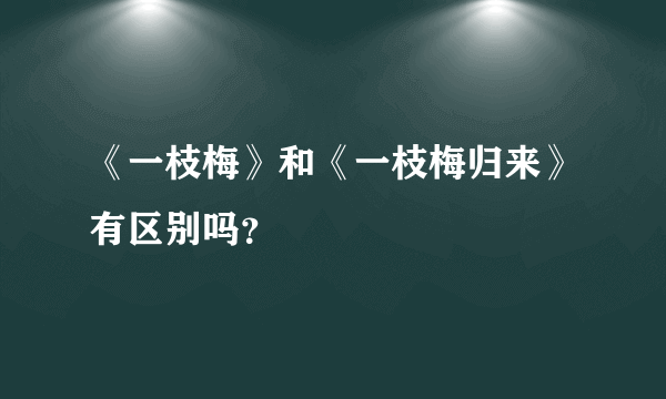 《一枝梅》和《一枝梅归来》有区别吗？