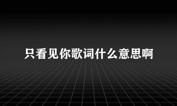 只看见你歌词什么意思啊