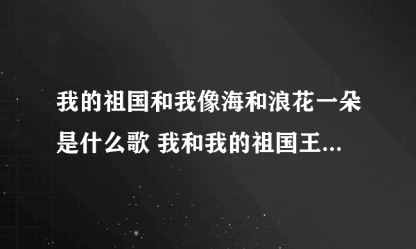 我的祖国和我像海和浪花一朵是什么歌 我和我的祖国王菲版歌词完整版
