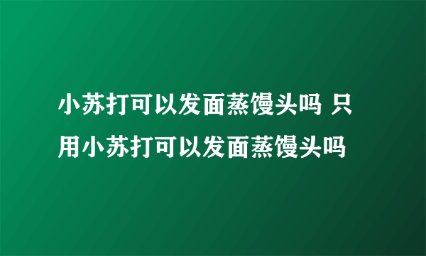 小苏打可以发面蒸馒头吗 只用小苏打可以发面蒸馒头吗
