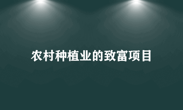 农村种植业的致富项目