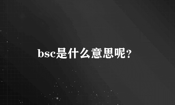 bsc是什么意思呢？