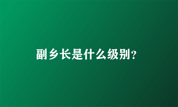 副乡长是什么级别？