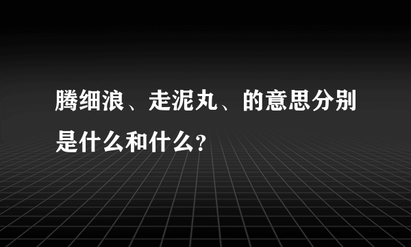 腾细浪、走泥丸、的意思分别是什么和什么？