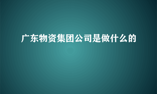 广东物资集团公司是做什么的