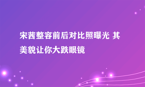 宋茜整容前后对比照曝光 其美貌让你大跌眼镜